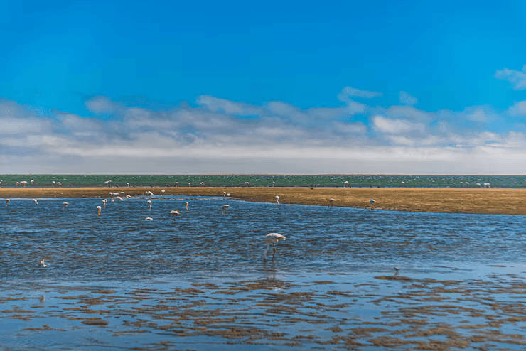 La Albufera